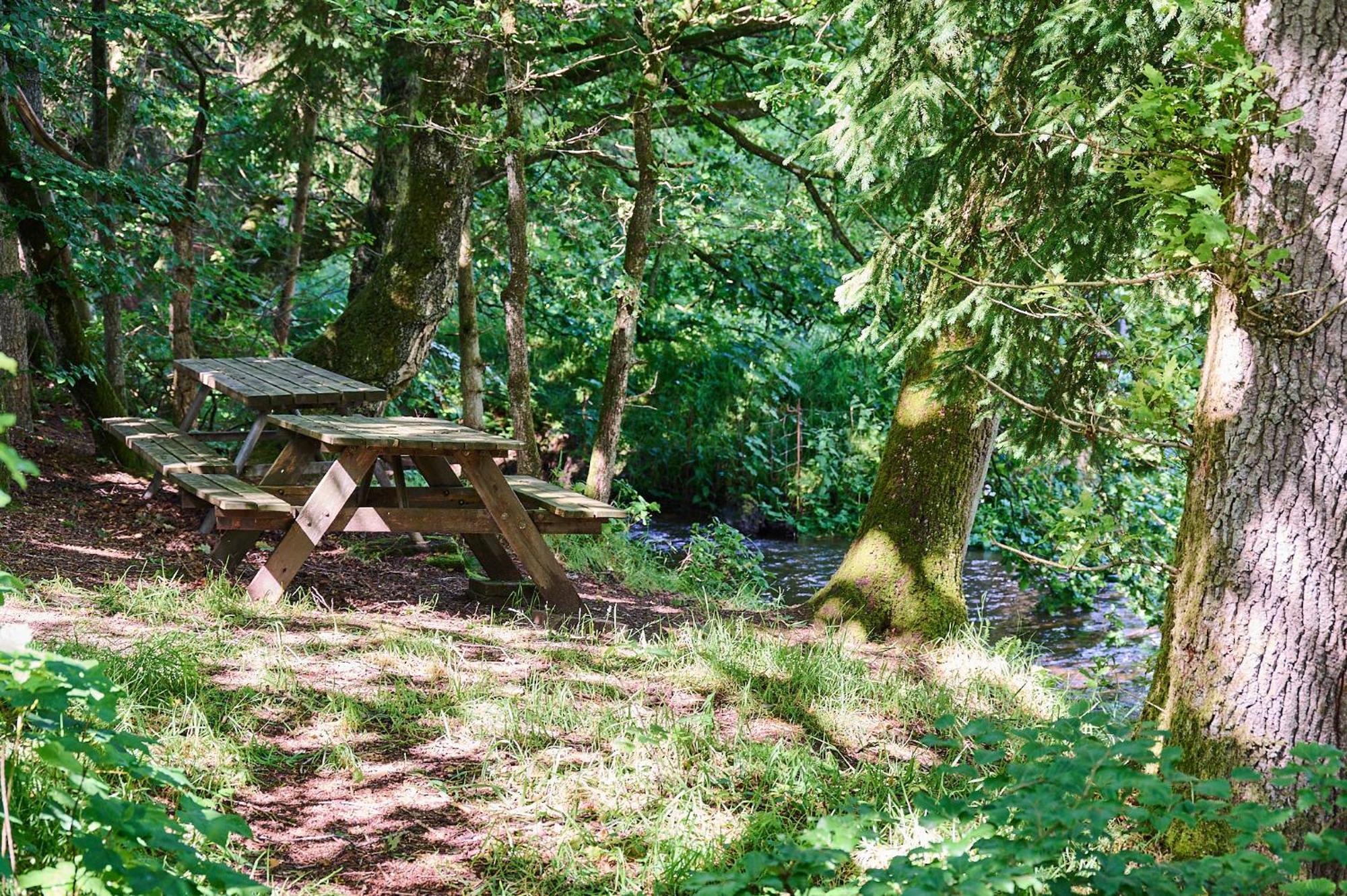 Randbøldal Camping&Cabins Bagian luar foto