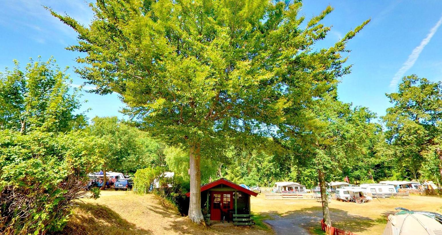 Randbøldal Camping&Cabins Bagian luar foto