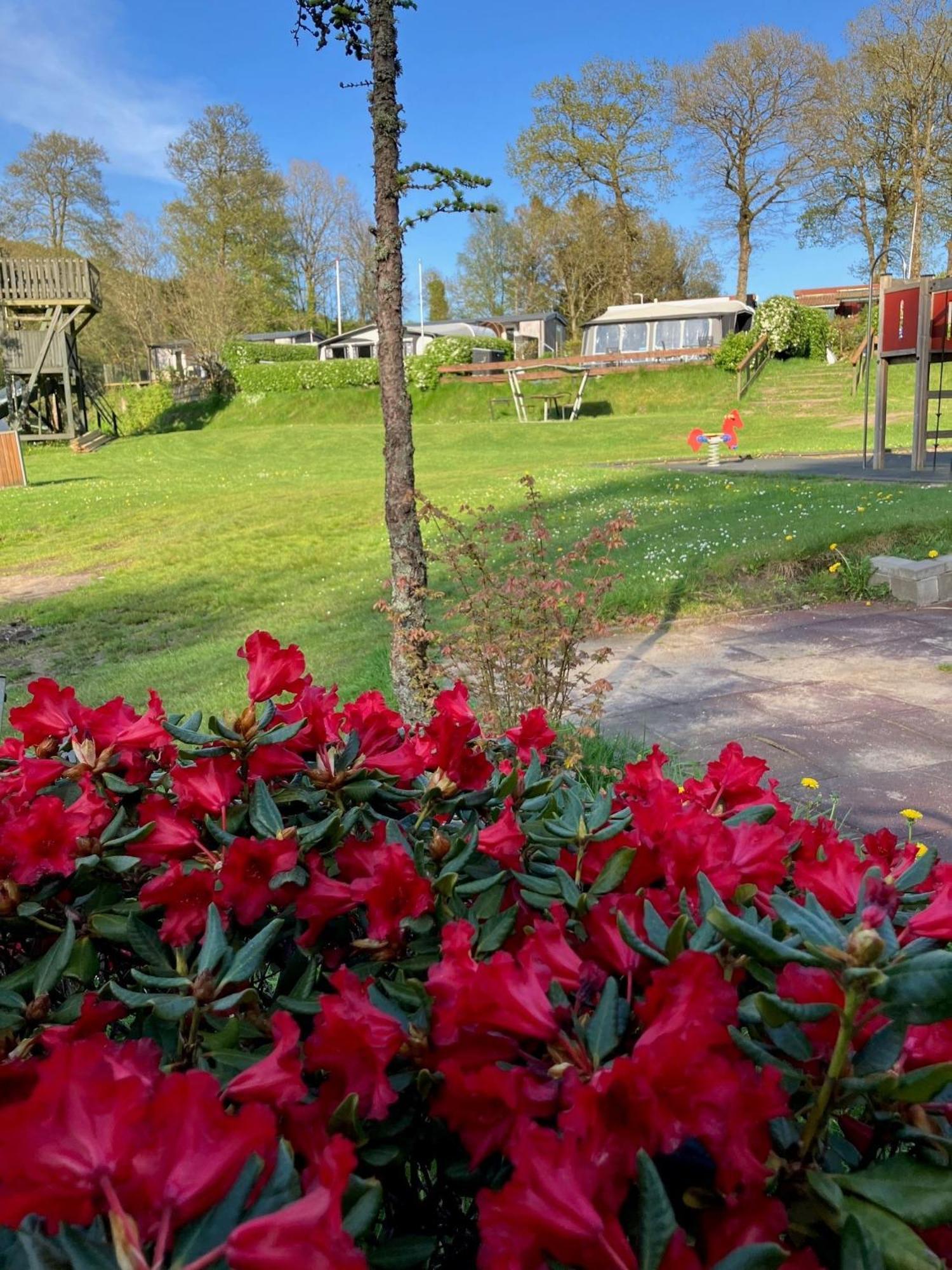 Randbøldal Camping&Cabins Bagian luar foto