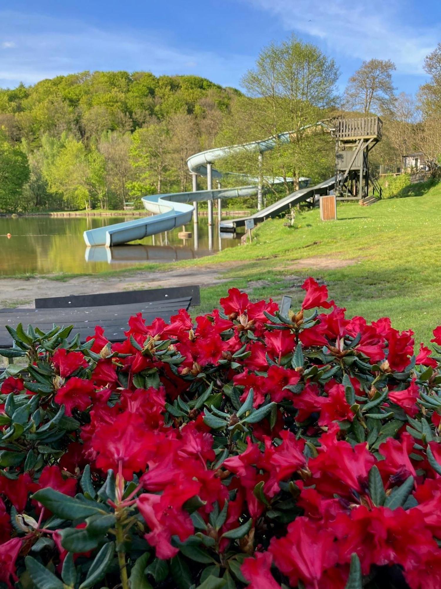 Randbøldal Camping&Cabins Bagian luar foto